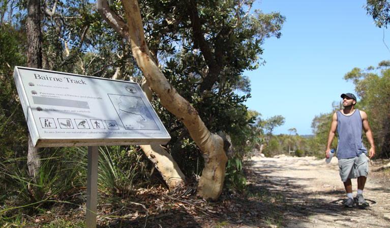 Bairne track, Ku-ring-gai Chase National Park. Photo: Andrew Richards/NSW Government