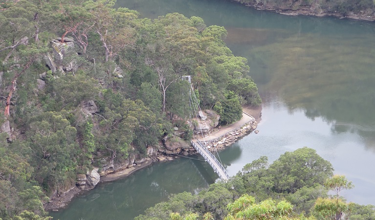 Birrawanna walking track, Ku-ring-gai Chase National Park. Photo: Elinor Sheargold &copy; OEH