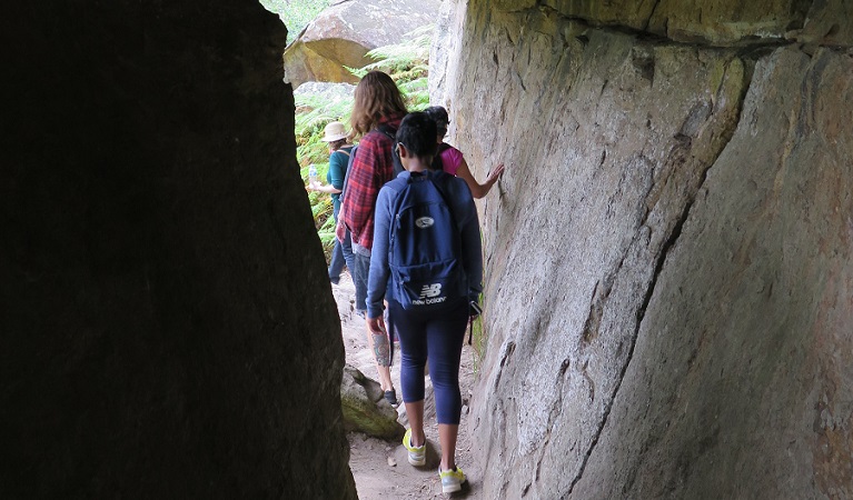 Birrawanna walking track, Ku-ring-gai Chase National Park. Photo: Elinor Sheargold &copy; OEH