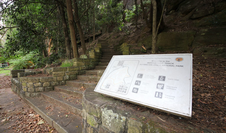 Birrawanna track, Ku-ring-gai Chase National Park. Photo &copy; Andy Richards