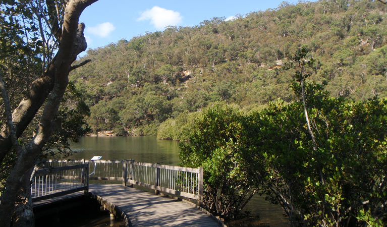 Gibberagong track, Ku-ring-gai Chase National Park. Photo &copy; Andrew Richards