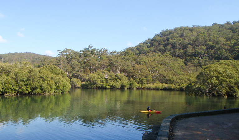 Gibberagong track, Ku-ring-gai Chase National Park. Photo &copy; Andrew Richards