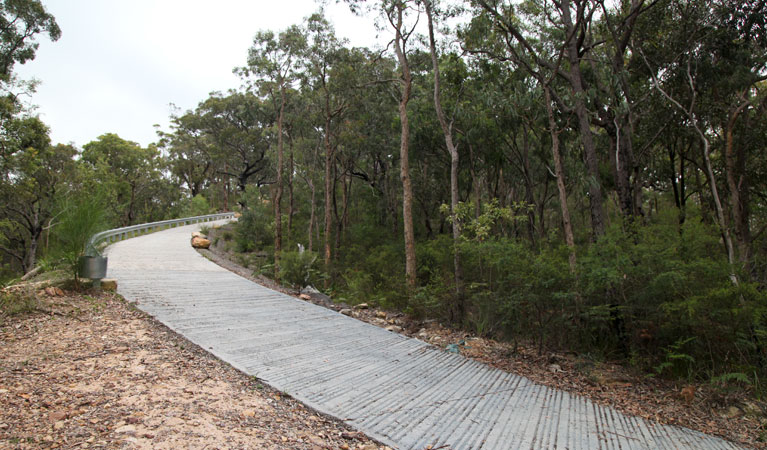 Jerusalem Bay to Brooklyn Track, Ku-ring-gai Chase National Park. Photo &copy; Andrew Richards