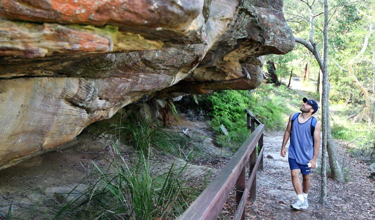 Red Hands Cave, Ku-ring-gai Chase National Park. Photo: Andrew Richards