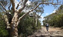 Salvation loop, Ku-ring-gai Chase National Park. Photo &copy; Andrew Richards