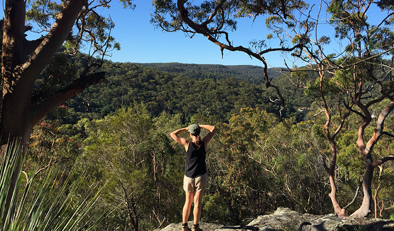 Sphinx Memorial to Bobbin Head loop track, Ku-ring-gai Chase National Park. Photo &copy; Natasha Webb