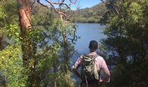 Views of Cowan Creek from the Sphinx Memorial to Bobbin Head loop track, Ku-ring-gai Chase National Park. Photo &copy; Natasha Webb