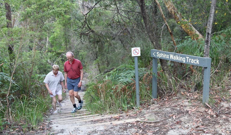 Sphinx track and Warrimoo track to Bobbin Head, Ku-ring-gai Chase National Park. Photo: Andrew Richards
