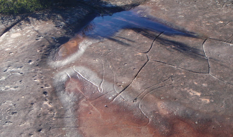 Basin Aboriginal Art site, Ku-ring-gai Chase National Park. Photo &copy; Andrew Richards