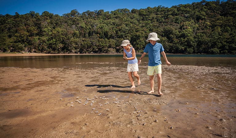 Children looking for soldier crabs on the sand at The Basin, Ku-ring-gai Chase National Park. Photo: David Finnegan &copy; OEH