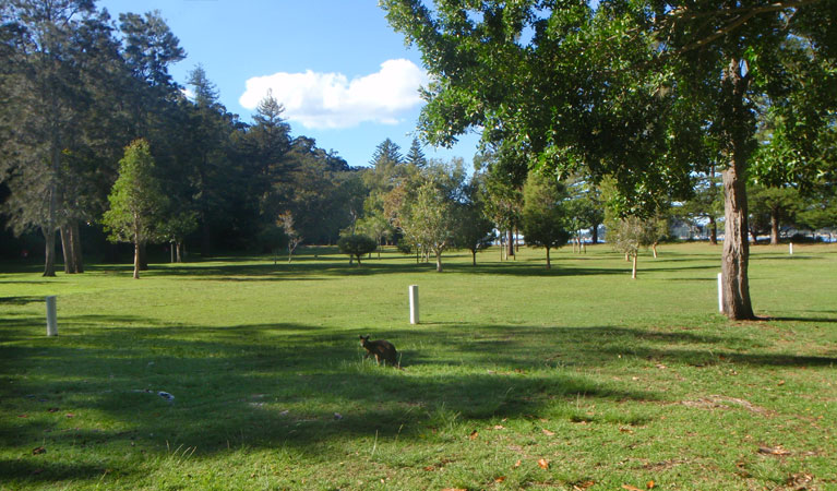 The Basin picnic area, Ku-ring-gai Chase National Park. Photo: David Finnegan/NSW Government