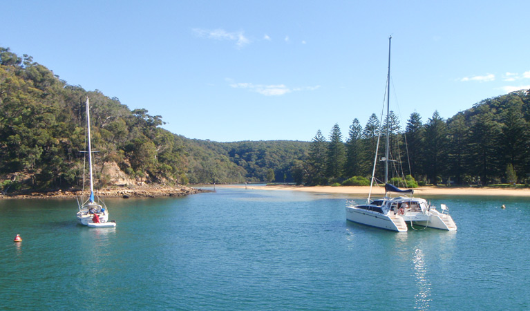 The Basin picnic area, Ku-ring-gai Chase National Park. Photo: David Finnegan/NSW Government