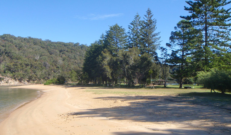 The Basin picnic area, Ku-ring-gai Chase National Park. Photo: David Finnegan/NSW Government