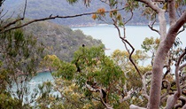 Enjoy glimpses of water views at the end of Topham walking track in Ku-ring-gai Chase National Park. Photo &copy; Natasha Webb