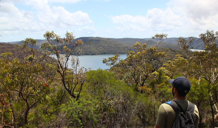 Wallaroo track, Ku-ring-gai Chase National Park. Photo &copy; Andrew Richards