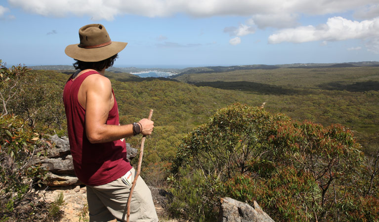 Willunga Trig walk, Ku-ring-gai Chase Natioanl Park. Photo: Andy Richards/NSW Government