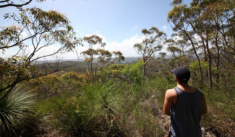 Willunga Trig walk, Ku-ring-gai Chase Natioanl Park. Photo: Andy Richards/NSW Government