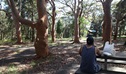 Resolute picnic area. Photo: Andy Richards