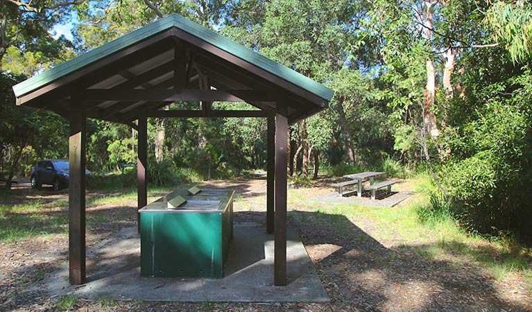 Resolute picnic area, Ku-ring-gai Chase National Park. Photo: Andy Richards