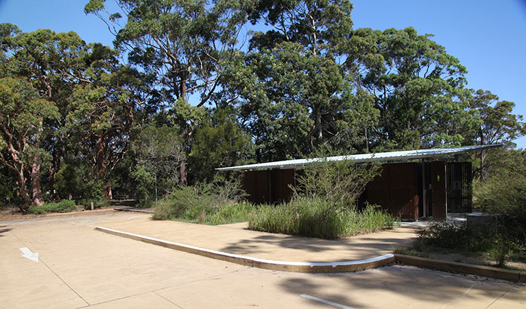 Resolute picnic area, Ku-ring-gai Chase National Park. Photo: Andy Richards