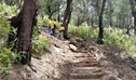 NPWS rangers on West Head army track steps. Photo: Lee de Gail