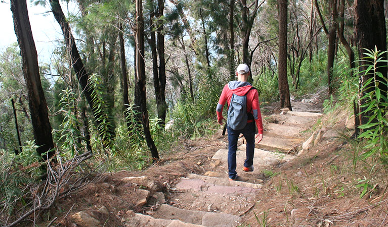 Man walking down the West Head army track. Photo: Natasha Webb