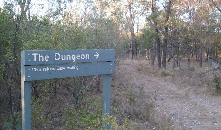 Dungeon lookout, Kwiambal National Park. Photo: NSW Government