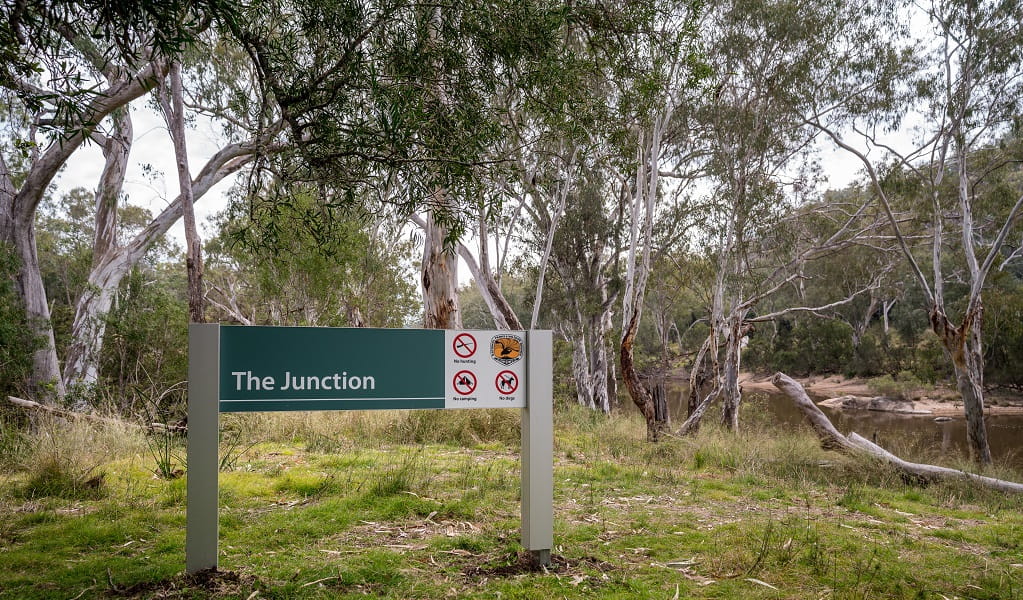 The NSW National Parks sign at the start of Junction walk, Kwiambal National Park. Photo: DPE &copy; DPE