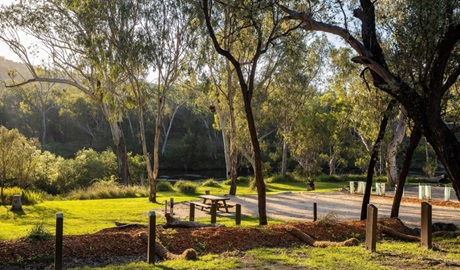 A picnic table surrounded by trees at Kookibitta campground in Kwiambal National Park. Photo; Simon Scott &copy; DCCEEW