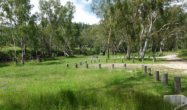 Grassy Kookibitta campground sites next to the Severn River with picnic tables, surrounded by bushland. Photo: Tanya Weir/DPIE