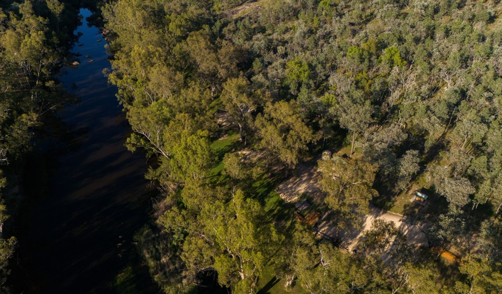 Grassy Kookibitta campground sites next to the Severn River with picnic tables, surrounded by bushland. Photo: Tanya Weir/DPIE