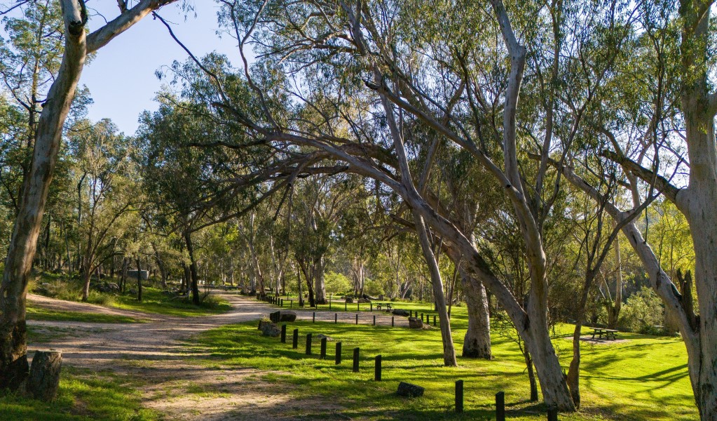 The road through Kookibitta campground in Kwiambal National Park. Photo: Simon Scott &copy; DCCEEW