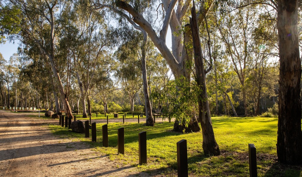 The road through Kookibitta campground in Kwiambal National Park. Photo: Simon Scott &copy; DCCEEW