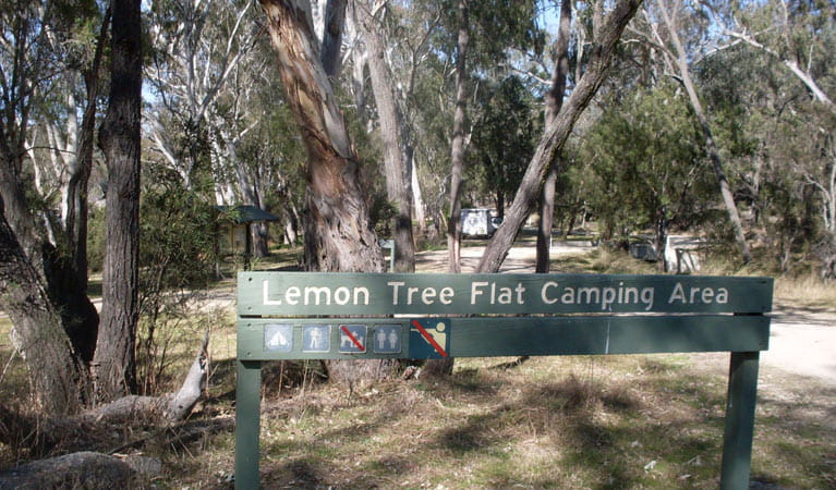 Lemon Tree Flat campground, Kwiambal National Park. Photo: OEH