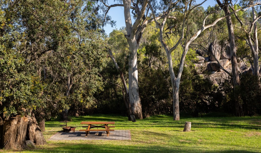 A picnic table surrounded by trees at Lemon Tree Flat campground in Kwiambal National Park. Photo: Simon Scott &copy; DCCEEW
