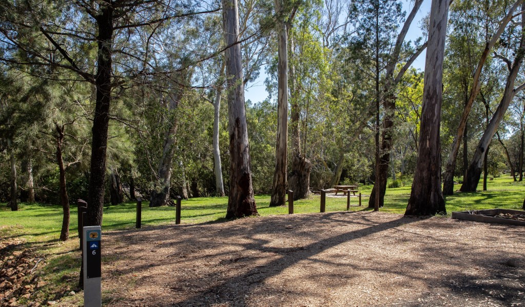 A campsite at Lemon Tree Flat campground in Kwiambal National Park. Photo: Simon Scott &copy; DCCEEW