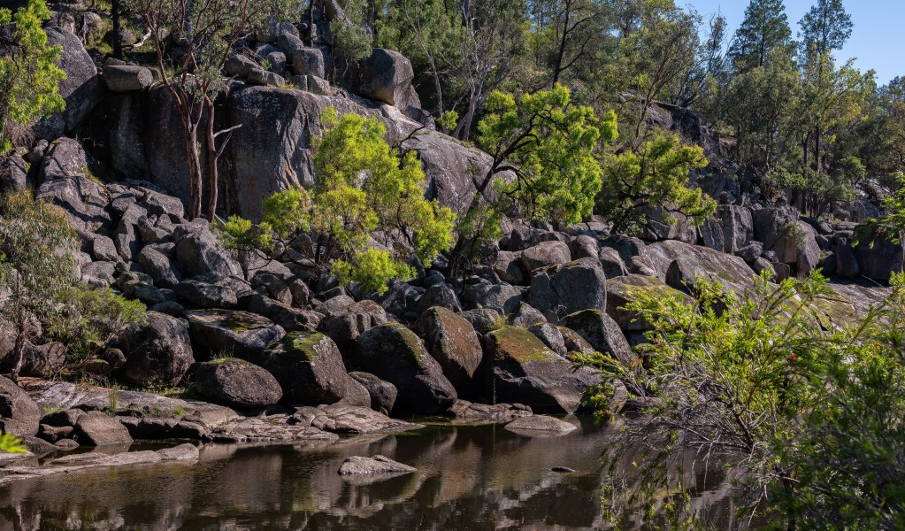 The Severn River at Lemon Tree Flat campground in Kwiambal National Park. Photo: Simon Scott &copy; DCCEEW