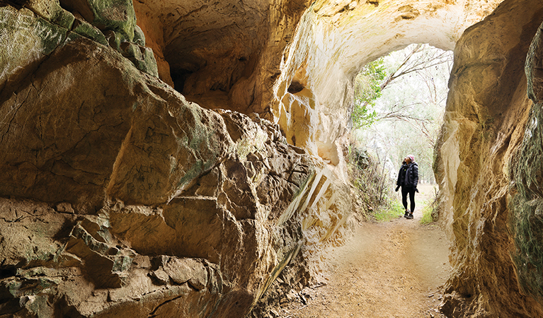 Wide view from cave interior of woman at Limestone Caves entrance. Photo: Simone Cottrell &copy; OEH