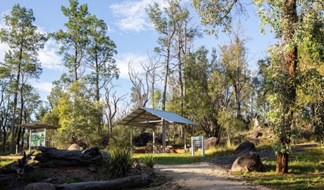 A person sitting at a picnic table next to a shelter and water tank at Macintyre Falls picnic area in Kwiambal National Park. Photo &copy; DPE