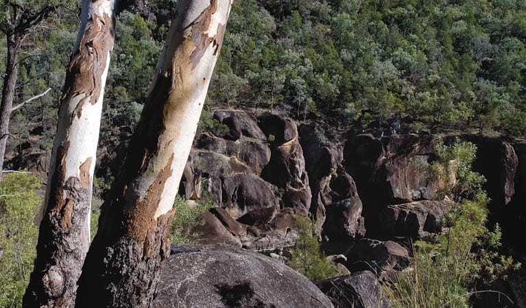 Macintyre Falls, Kwiambal National Park. Photo: Michael van Ewijk/NSW Government
