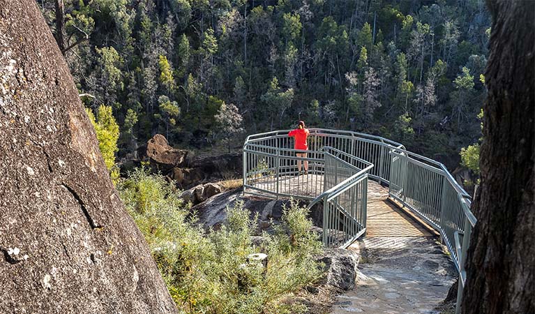 Visitor on a lookout over Macintyre Falls, Kwiambal National Park. Photo: DPE