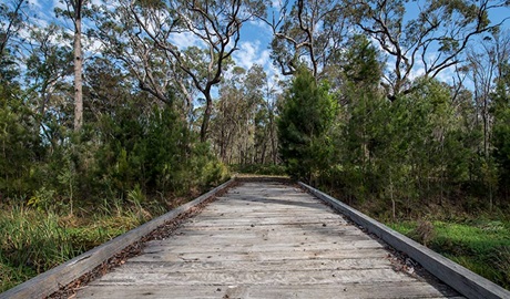 Googik Heritage walking track, Lake Innes Nature Reserve. Photo: John Spencer &copy; OEH