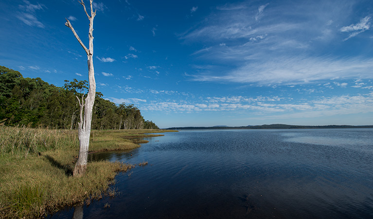 Lake Innes Nature Reserve. Photo: John Spencer &copy: DPIE