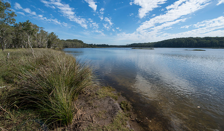 Lake Innes Nature Reserve. Photo: John Spencer &copy: DPIE