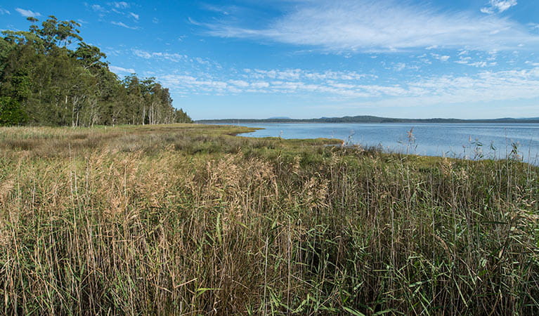 Lake Innes Nature Reserve. Photo: John Spencer &copy: DPIE