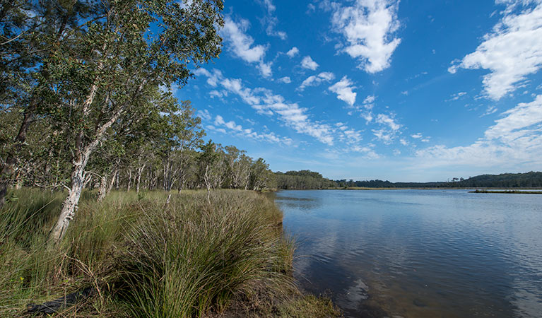 Perch Hole picnic area, Lake Innes Nature Reserve. Photo: John Spencer/NSW Government