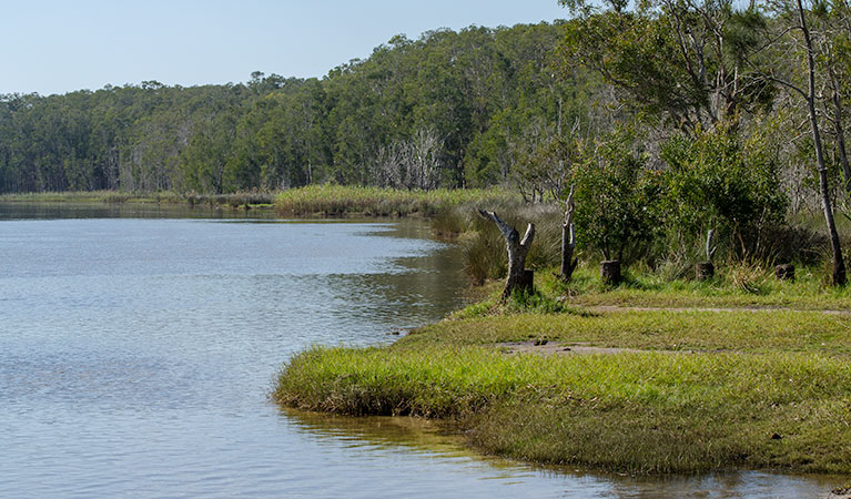 Perch Hole picnic area, Lake Innes Nature Reserve. Photo: John Spencer/NSW Government