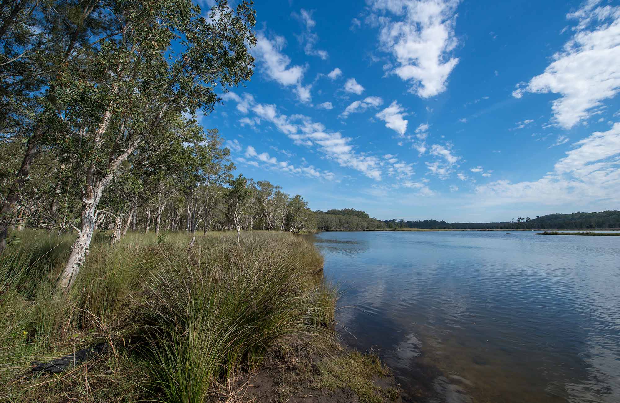 Perch Hole picnic area, Lake Innes Nature Reserve. Photo: John Spencer/NSW Government