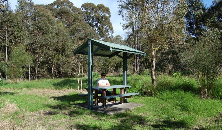 Alexanders picnic area, Lake Macquarie State Conservation Area. Photo: Susan Davis/NSW Government