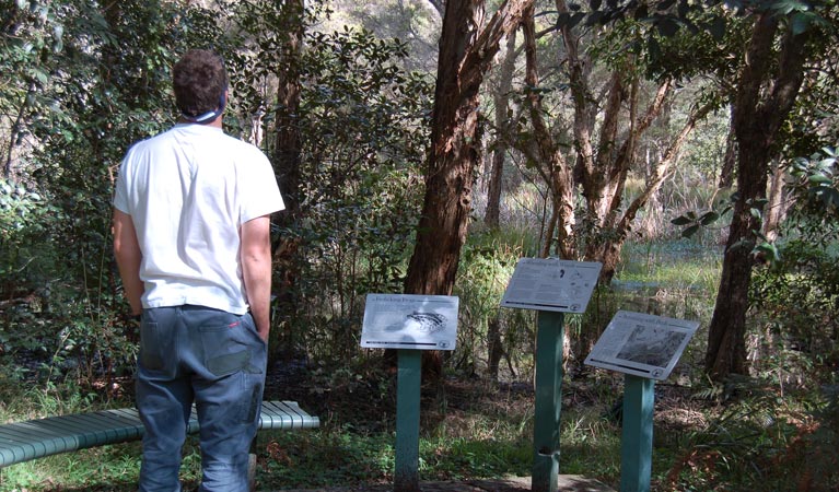 Awaba Foreshore walk, Lake Macquarie State Conservation Area. Photo: Susan Davis &copy; OEH